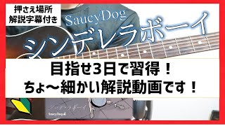 【夏休み企画】初心者向け超解説　シンデレラボーイ アコギ弾き方