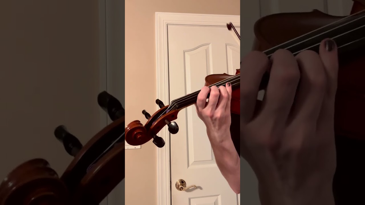 Promotional video thumbnail 3 for Bayley Tuttle Event Violinist