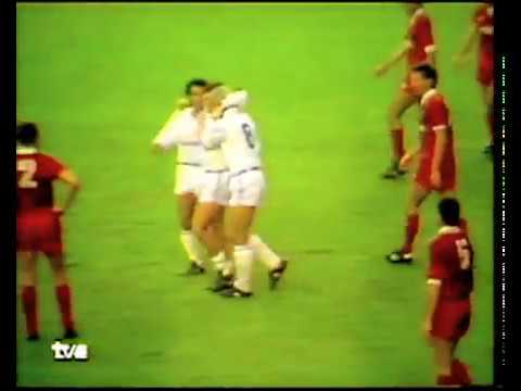Real Madrid 4 RC Celta 1 (Liga 88-89)