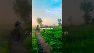 Download lagu Story wa| ustadz Abdul Somad doa ibu mp3