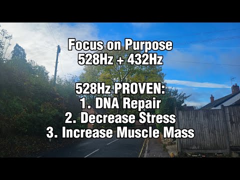 Focus On Purpose 528Hz (DNA Repair) 432Hz (Calming) FULL SONG by Etao