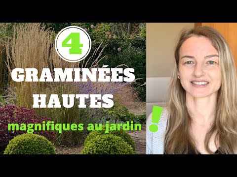 4 GRAMINÉES HAUTES magnifiques au jardin !