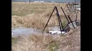 preview picture of video 'Automated Flood Irrigation'