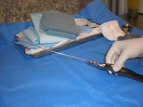 Watch lagu Images Videos Famous Plastic Surgeons In Dallas Tx, Watch Images Famous Plastic Surgeons In Dallas Tx free Watchn, video klip Famous Plastic Surgeons In Dallas Tx