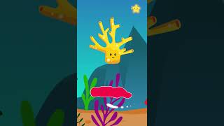 Sea creatures killer whale  seahorse  coral  jellyfish  starfish