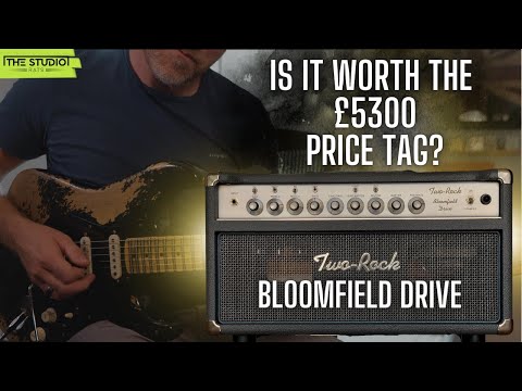 Two Rock Bloomfield Drive 100/50 Watt head and Cab - Silver Tolex image 11