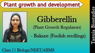 Plant Growth Regulators - Gibberellins |Bakane (Foolish seedlings) Disease | 11th Biology/NEET/AIIMS