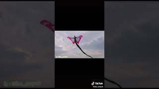 Download lagu Layangan bagus putri buyung mp3 Download lagu Layangan bagus putri buyung mp3