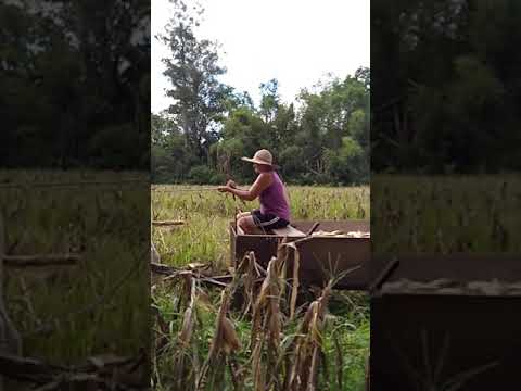 mãe ativando modo monstro 😂