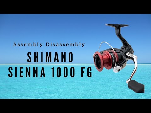SHIMANO Sienna FG 2019 1000 Disassembly
