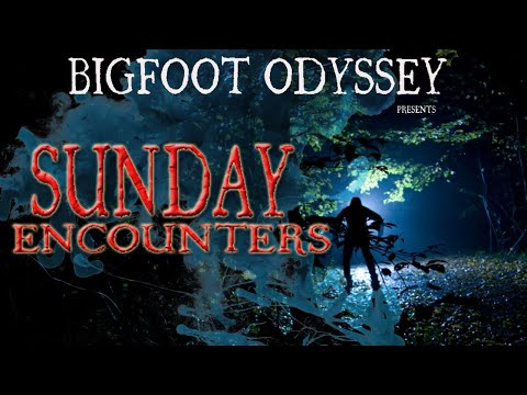 SE#3- 'Bigfoot scared me out of the woods'