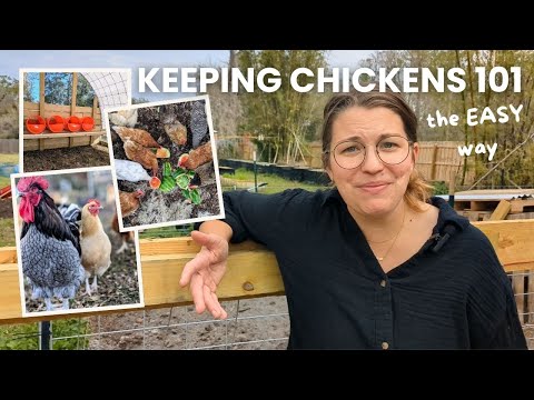 Keeping Backyard Chickens the EASY Way | Raising Chickens for Beginners