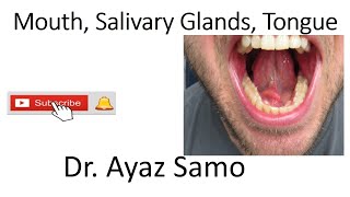 Mouth, Salivary Glands, Tongue
