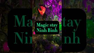 Staying in the Most Beautiful Homestay in Vietnam!