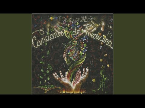 Invisible Es Mi Camino