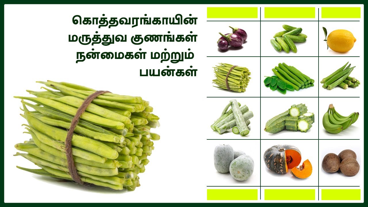 கொத்தவரங்காய் | பொரியல் | குழம்பு | கூட்டு | வத்தல் | ஜுஸ் | ரெசிபி | கிரேவி |பயன்கள் : 9994443517