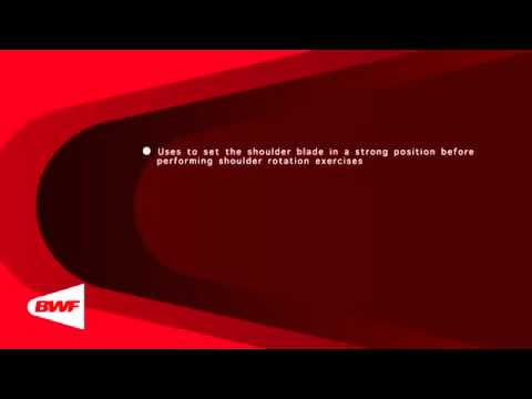 CE2M8V60 Theraband Exercises   Setting the Scapula 1   Copy   Copy