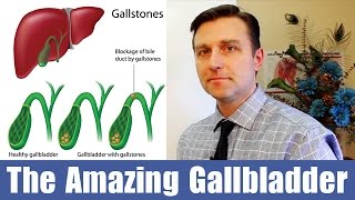 The Amazing Gallbladder