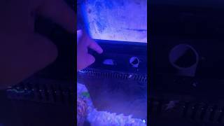 Fluctuating water level in reef tank!