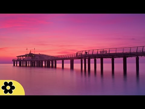 8 Hour Sleep Music, Calm Music for Sleeping, Delta Waves, Insomnia, Relaxing Music, ✿3016C