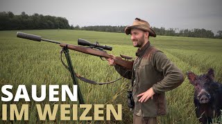 NAHKAMPF-Erlebnis! Sauenjagd im Weizen 🌾