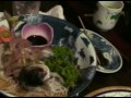 AFV Not Dead Fish Head