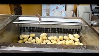 Washing and Peeling Machine-Potato Washer and Peeler