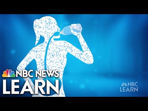 Get Healthy: Hydration | NBC News Learn