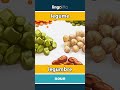 legume - legumbre video thumbnail
