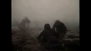 Run Wild, Run Free    1969 10