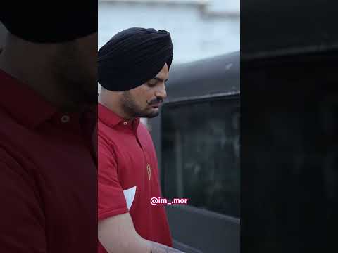 Reel tagged #shortvideo