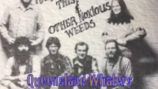 Queensland Whalers performed by Ragwort Thistle and Other Noxious Weeds, 1984.