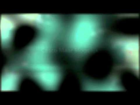 Nieuw Te Bouwen - Aalst Baardegem - TreetopS