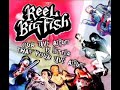 Live Your Dream - REEL BIG FISH