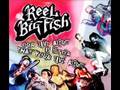 reel big fish 'live your dream'