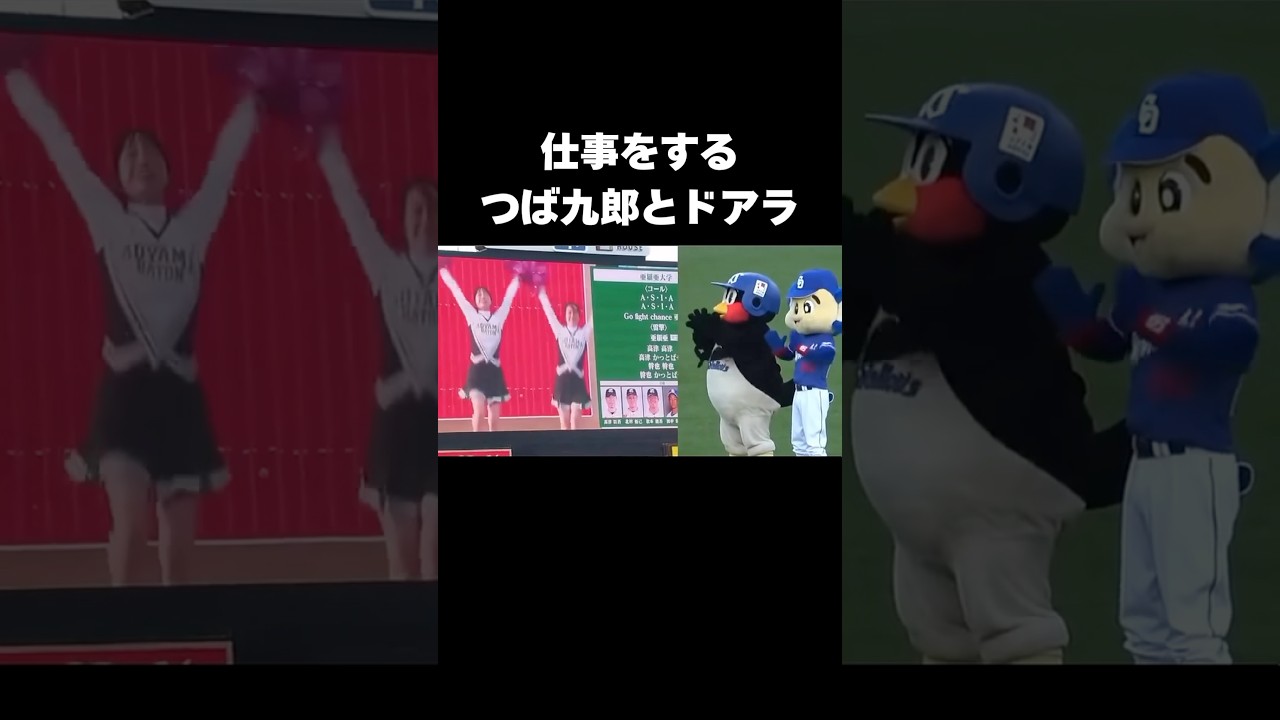つば九郎とドアラは最強コンビ#つば九郎 #ドアラ #野球