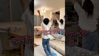 かくれんぼの仕方が謎すぎる家族 #ブラザー4 #めっちゃカメレオン #あつ森 #shorts