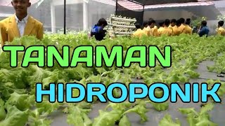 preview picture of video 'Tanaman Hidroponik - PT. Kepurun Pawana Indonesia - Klaten'