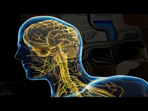 CoRus - Sistemul nervos + natură + 764 Hz / Nervous system + nature + 764 Hz ... Music and Therapy
