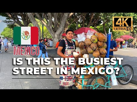 🇲🇽 Mexico City Walking Tour - Street Markets, Tacos & Barbers [4K HDR / 60fps]