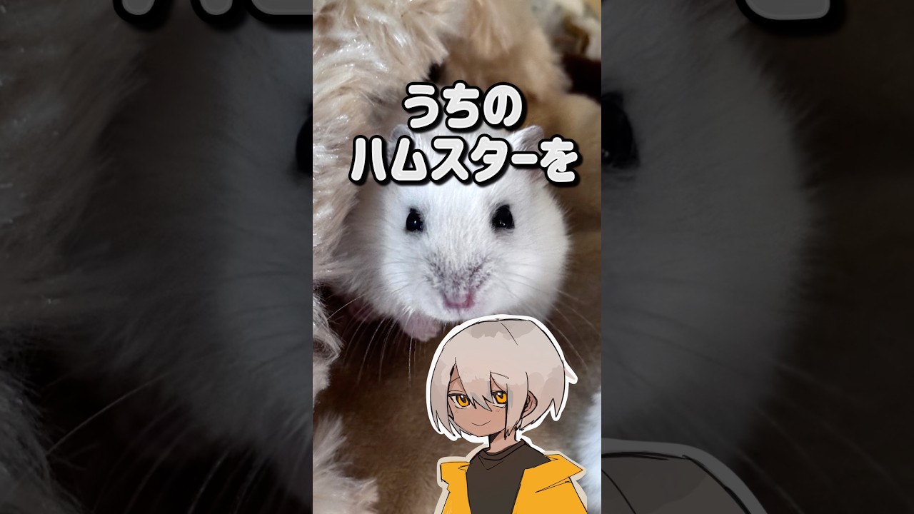 うちのハムスターを擬人化してみた⁉︎ #イラスト #イラストメイキング #絵描き