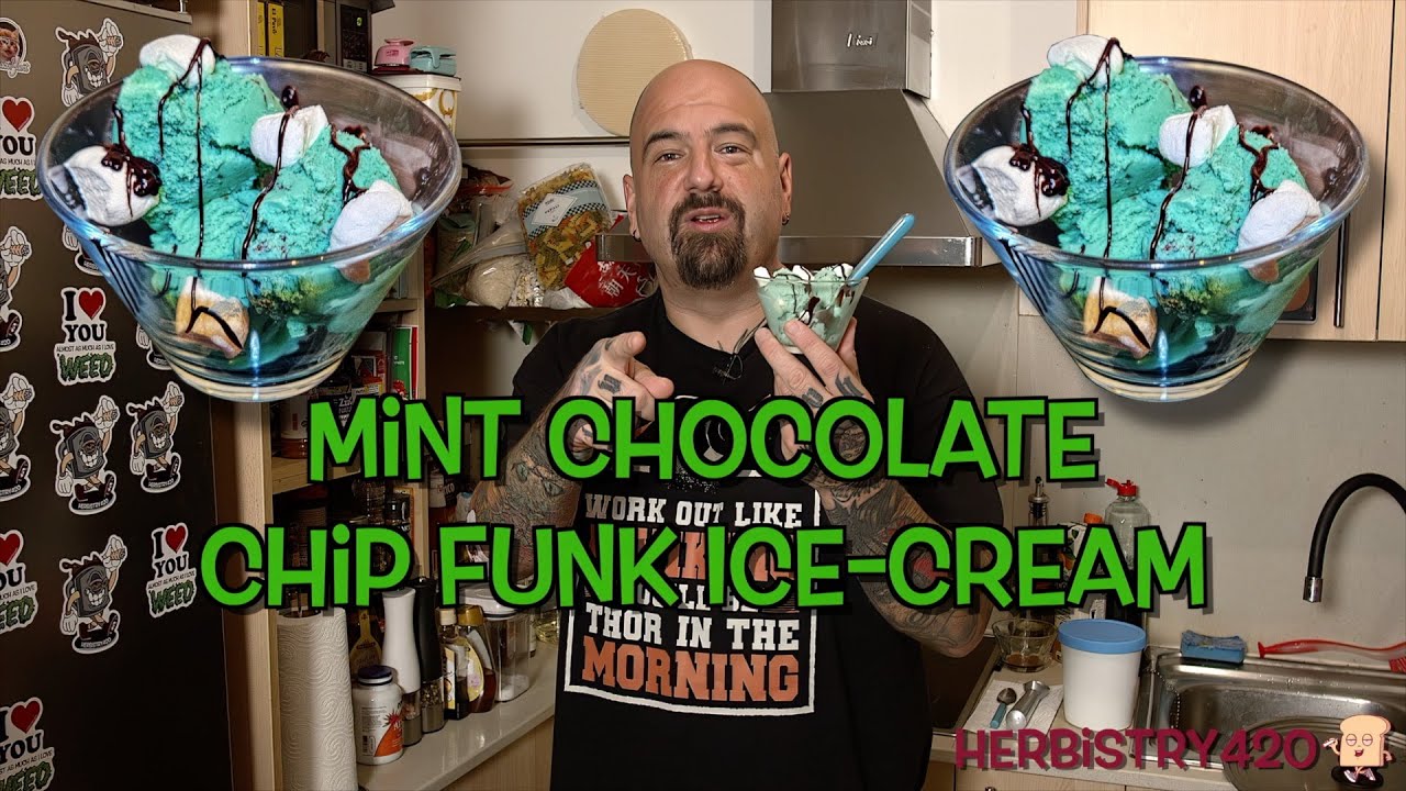 Infused Mint Chip Ice Cream – Cannabis Ice Cream Recipe