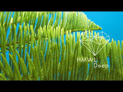 Boxer & RYTERBAND - Looking For Shelter (Extended) [Deep House / This Never Happened]