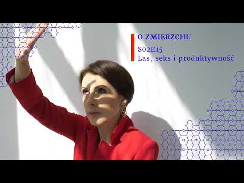 O Zmierzchu S02E15 - Las, seks i produktywność