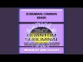 Subliminal Common Sense - Ocean Soundscape Track