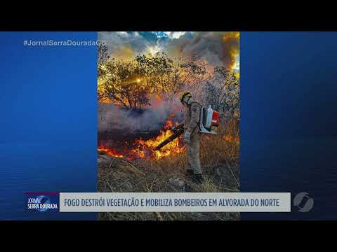Incêndio destrói área de vegetação e mobiliza bombeiros em Alvorada do Norte