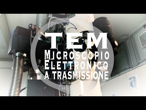 Lyambliya 1 40 Tipi di helminths e parassiti
