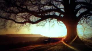 Acro jazz laboratories - Wish