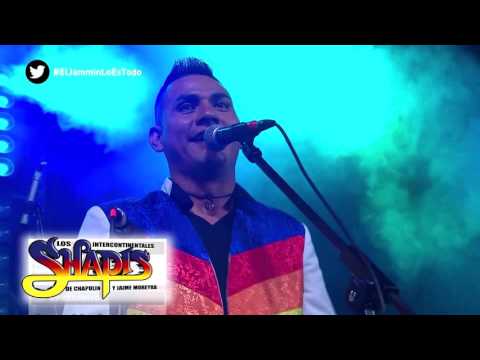 LOS INTERCONTINENTALES SHAPIS 2017- CONCIERTO EN VIVO EN JAMMIN-PERU