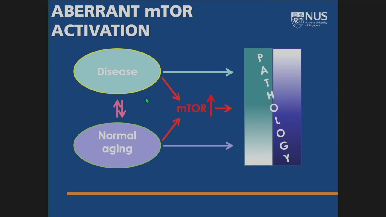 E11.2 Treatment strategies for premature ageing - YouTube